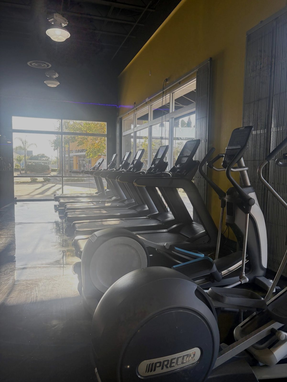 The cardio line along the windows at Fit Nation Ontario